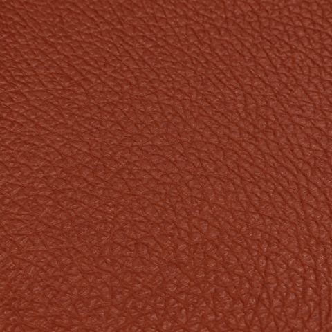 小丑魚