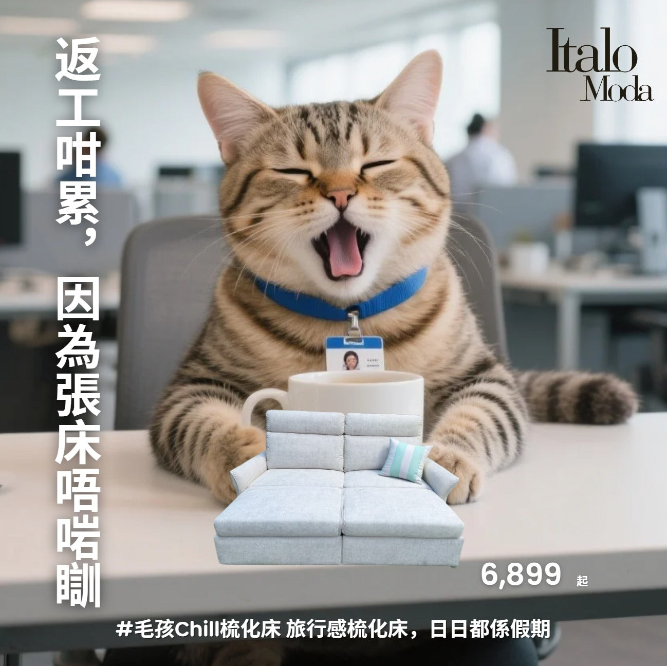 I402 百變兩座位梳化床：梳化、貴妃、雙人床，一張沙發搞掂晒！