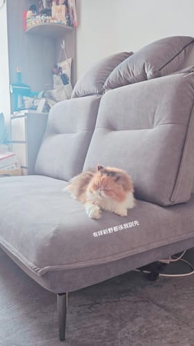 K.Y.