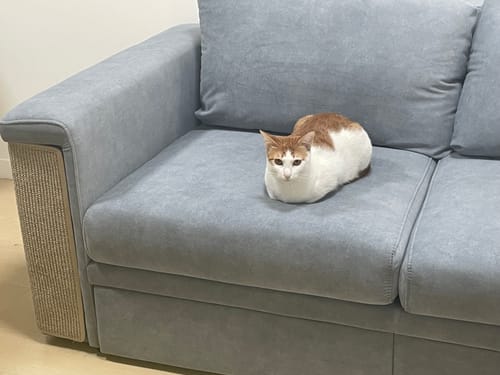 C.