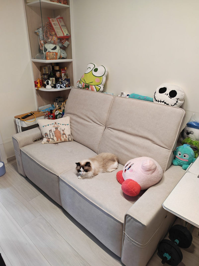 顧.