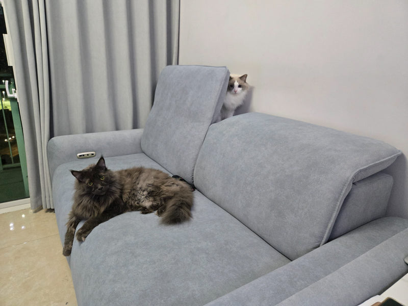 李.